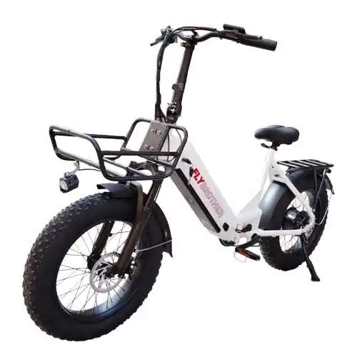FlyBrother Folding E-Bike 48V 20Ah lithium Battery