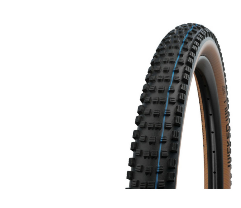 Schwalbe 29x2.4 Tyre Wicked Will Evo Super G
