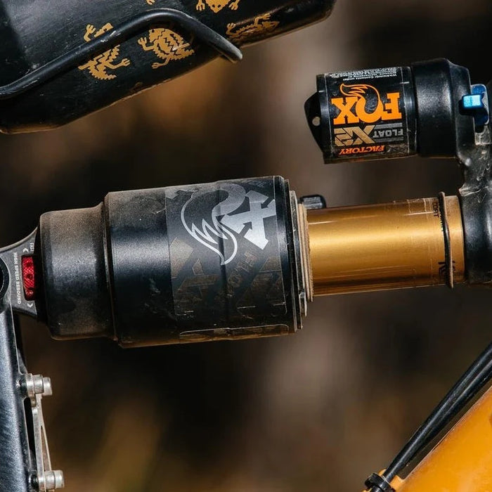 Mountain Bike Suspension Service Guide | Olympic Cycles