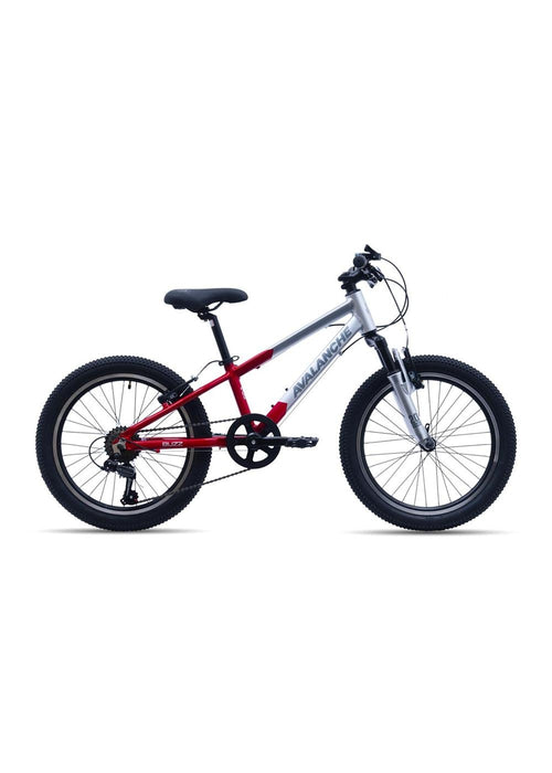 Avalanche 2025 Buzz 20"