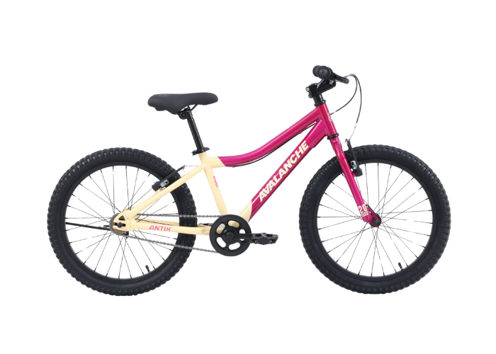Avalanche 2026 Antix 20"