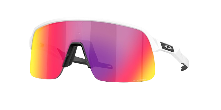 Oakley Sunglasses Sutro Lite S Prizm