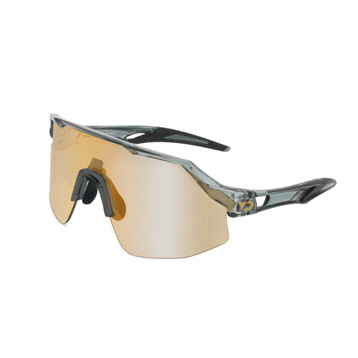 Darcs Sunglasses Vantage II F-Char L-Gold Revo