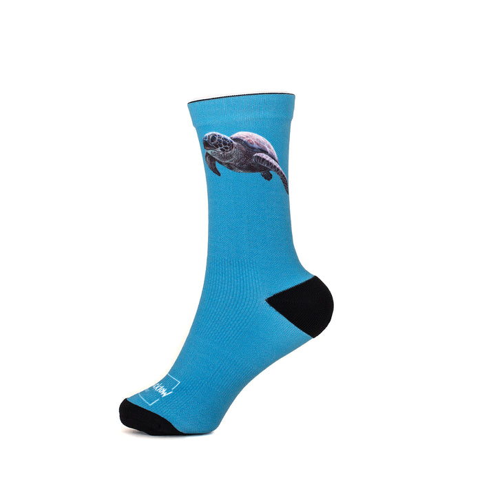 The Bucklow Socks Turtle