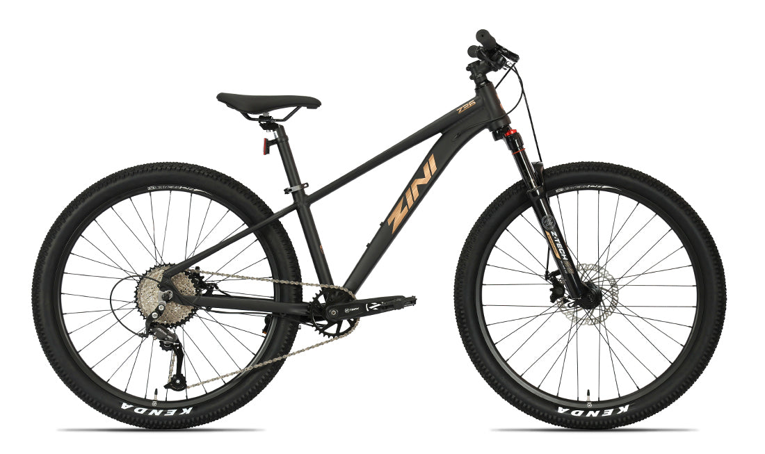 Zini 2025 Z26 Disc Steampunk