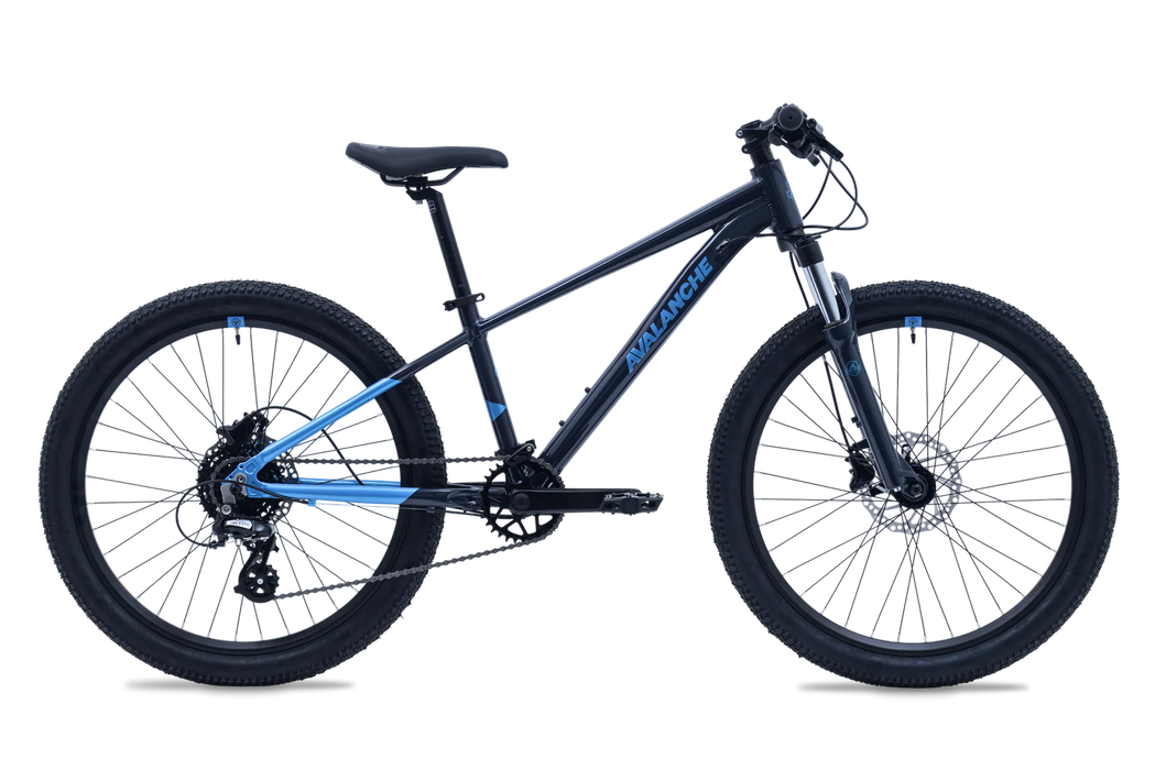 Avalanche 2025 Ignite Disc 24"