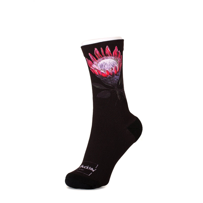 The Bucklow Socks Protea